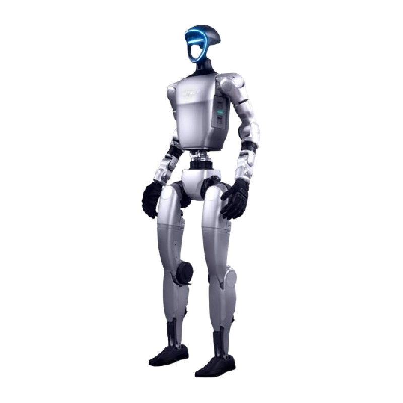 Humanoid Robot Developm