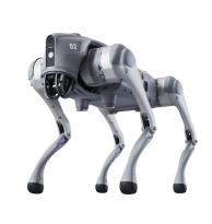 Robot Dog Profesional Uni